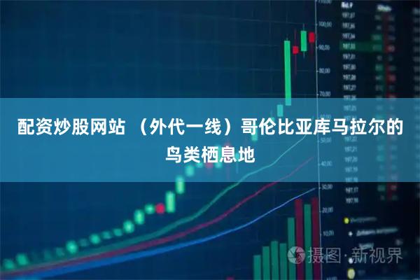 配资炒股网站 (外代一线)哥伦比亚库马拉尔的鸟类栖息地