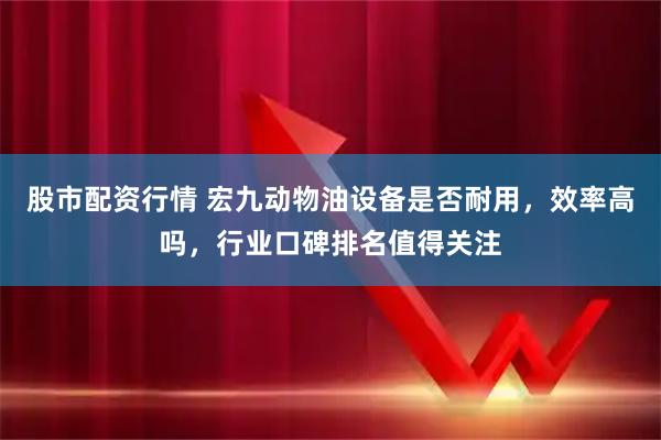 股市配资行情 宏九动物油设备是否耐用，效率高吗，行业口碑排名值得关注
