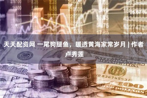 天天配资网 一尾狗腿鱼，暖透黄海家常岁月 | 作者 卢秀莲